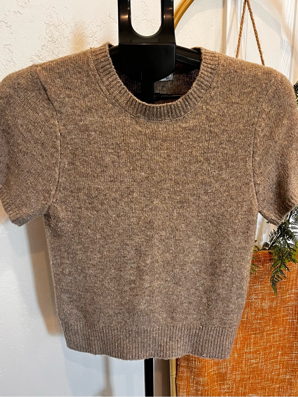 Ambercrombie & Fitch Short-Sleeve Crewneck Sweater in Taupe